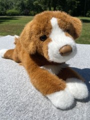 NWT 2026 Spring Rush Duck Tolling Retriever Laying Plush Dog Douglas Cuddle