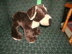 Ganz WEBKINZ * MOCHA PUP * dog (HM348) new/unused tags ~ approximately 9″
