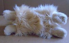Toy Plush Aurora Miyoni Himalayan Kitty Cat 11 in. Length