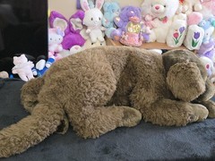 Plow And Hearth HUGE 45” Chocolate Lab/Brown Dog Plush