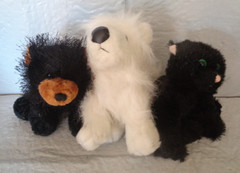 (3) Webkinz Plush Only – No Codes – Black Cat – Samoyed – Black Bear