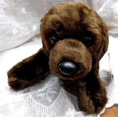 WILDLIFE ADVENTURES 7PLSH401 Plush Toy CHOCOLATE LAB LABRADOR 12″ Dog