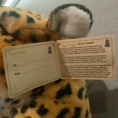 Vtg Calplush Jumbo Leopard Cheetah Plush 52”, 7’ w Tail, Kellytoy 2010 w Ear Tag
