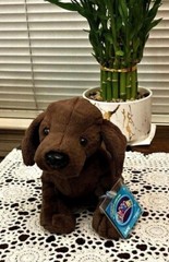 WEBKINZ COCOA LAB HM689 New with Unused Code Attached & Free Shipping!