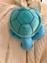 Medium sized stuffed animal with a cute face and a turquoise and blue body.