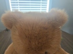 GUND JCPENNEY 22″ Vintage 1987 Teddy Bear w/Original Gold Tag In Ear-EXCELLENT