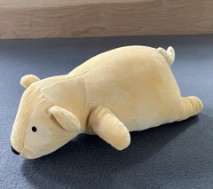 Pillowfort Baby Lion Cub Weighted Plush Anxiety Soothing Pillow Toy 12″ Cub Only