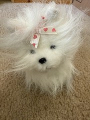 Webkinz Yorkie Dog With Code Tags Sealed Plush White Pink Heart Bow Ribbon Cute
