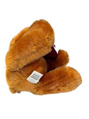 Valentines Day Plush Teddy Bear With Red Velvet Heart & Bow