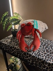 Pillowfort Weighted Plush Hermit Crab