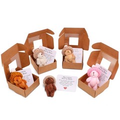 5x Tiny Stuffed Animal Teddy Bear Gift in Box Emotional Support Card Coworkers