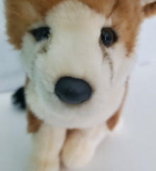 Douglas Cuddle Toy Fennec Fox Stuffed Animal Plush 11″ Soft #259