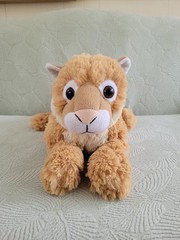 HTF Lioness Plush #J6751-A Tan Cream Stuffed Animal 15″ **READ** Peek-A-Boo Toys