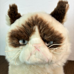 GUND Grumpy Cat 9″ Plush Stuffed Animal Kitty 4040133 Persian Ragdoll Shorthair