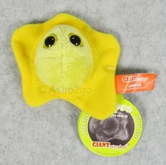 GIANT MICROBES-HEART BURNED THEME BOX-STD’s Herpes Pox HPV Chlamydia Penicillin