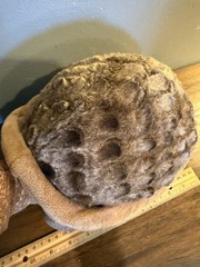 Stuffed Animal Turtle Realistic Looking Stuffed Animal