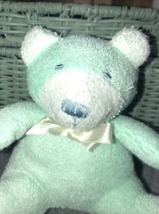 Mint Green Teddy Bear Plush Big Feet Stuffed Animal 5” Terry Cloth Blue Nose Toy