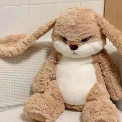 40cm Cute Angry Rabbit Plush Toy, Stuffed Toy Animal, Room Decor, Gift for Girls