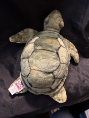Realistic Looking Webkinz Signature Sea Turtle Ganz Plush No Code EUC