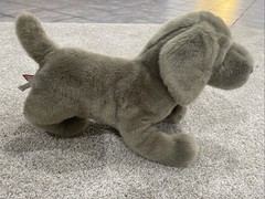 Douglas Cassie Gray Weimaraner 12” Plush Stuffed Animal Toy Dog