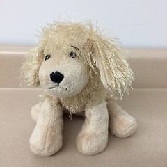 Webkinz Golden Retriever No Code Excellent Used Condition Plush Stuffed AR232