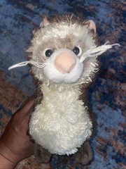 Webkinz FERRET Plush Stuffed Animal No Code HM419 Realistic Soft Toy