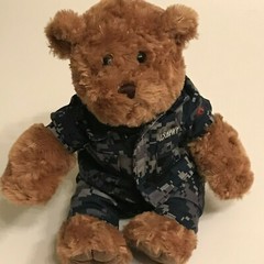 Rare Chelsea Navy Teddy Bear Stuffed Animal Brown Outfit Blue Gray 11″