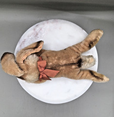 Vintage Steiff Floppi Hansi • Sleeping Mohair Bunny • 1950s • Cardboard Tag