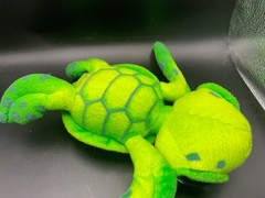Hawaii” Big Eye Sea Turtle Plush