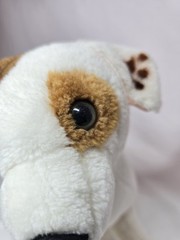 Vintage 1996 Wishbone Jack Russell Terrier Plush Dog PBS TV Show- No Collar
