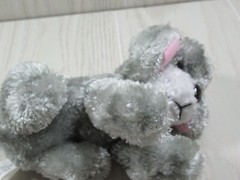 Dollar Tree plush gray white snout puppy dog black nose beanbag animal small