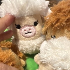 Relatable Emotional Support Pals Highland Cow Plush Set Green Bed 2025 Small