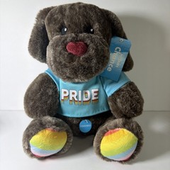 Petsmart Chance Dog Plush Pride Rainbow Squeaker Dog Toy 2022 Pet Smart
