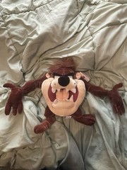 Vintage Taz Tasmanian Devil Looney Tunes 2005 Six Flags Plush With Tag