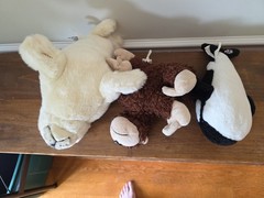 Webkinz Harp Seal Cheeky Monkey Orca Whale No Code