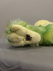 GANZ Webkinz Tie Dye Frog Green Plush No Code Excellent Condition Retired HM162