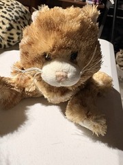 Lots Ganz Webkinz