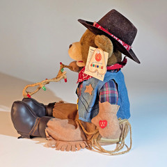 Vtg. Aurora Singing Dancing Cowboy Bear Plush Lasso Lights Up Sings – see video