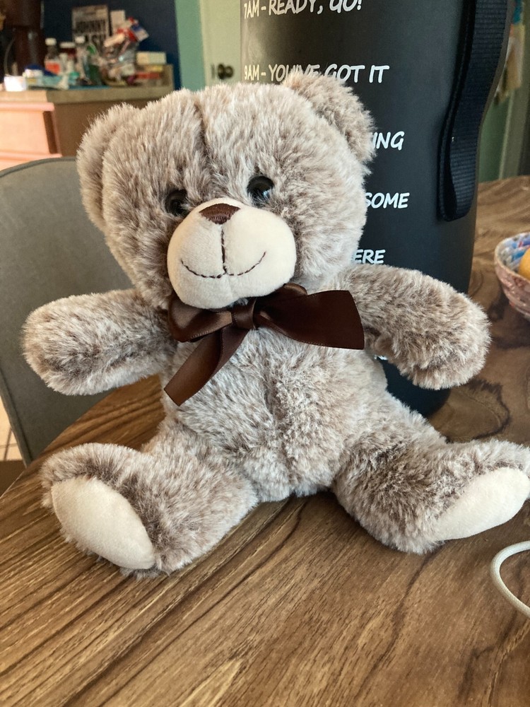 Teddy Bear Plush Stuffed Animal 8″ Sitting Brown White Inter-American HTF 2021