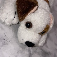 HTF Wishbone Dog 6” Plush 1996 Toy VTG Jack Russell Terrier PBS Equity Toys