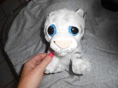 ri rhode island novelty white tiger big bright eyes blue plush planet pals 7″