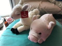 Aurora Flopsie LLAMA 12″ Stuffed Animal Plush NWT lama 31155 And Miyoni Pig