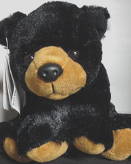 Black Bear Plush NEW! 7” w/ Tags Wild Republic Age 3 Up Soft Cuddly