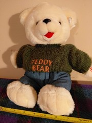 Teddy The Talking Bear Stuffed Animal.