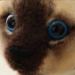 Siamese Cat 10 Inch Stuffed Animal Plush Toys Toddler Doll Kids Gifts