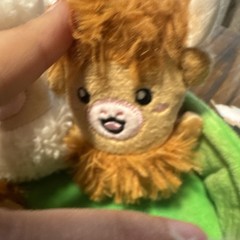 Relatable Emotional Support Pals Highland Cow Plush Set Green Bed 2025 Small