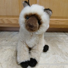 Douglas Cuddle Toy Cat Himalayan TASHA (#1824) Cream Plush Brown Tail RETIRED