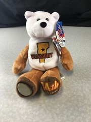 Limited Treasures State Quarters Coin Teddy Bear Vermont #14 Kg Y1