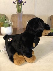 Webkinz Lot Of 5 Dogs Collie Pug Rottweiler & More No Codes GANZ China