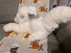 White Wolf Furry Plush